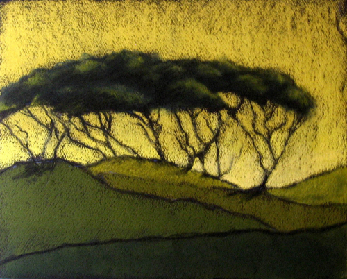 Windswept%20Trees (large view)