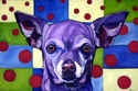 Amigo (thumbnail)