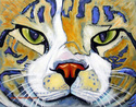 Cat%20in%20your%20Face (thumbnail)