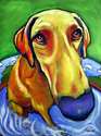 Dog%20Days (thumbnail)