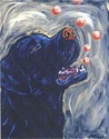 Bubble%20Dog (thumbnail)