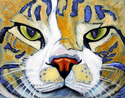 Cat%20in%20Your%20Face (thumbnail)