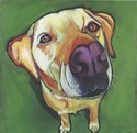 Green%20Dog (thumbnail)