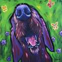Happy%20Garden%20Dog (thumbnail)