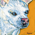 Iggy (thumbnail)