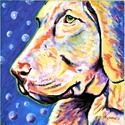 Owen (thumbnail)