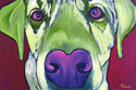 Purple%20Daze (thumbnail)