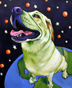 Space%20Dog (thumbnail)