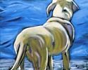 Tahoe%20Dog%202 (thumbnail)