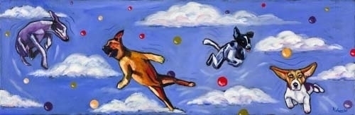 Dog%20Dreams (thumbnail)
