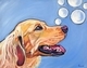 Painting-Happy Bubbles