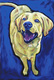 Print Making--AnimalsHappy Lab
