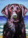 Print Making--AnimalsWaterdog