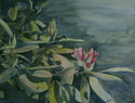 Katherine  Bates - Spring Sunshine
