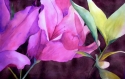 Pretty%20in%20Pink (thumbnail)
