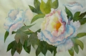 Christie%27s%20Peonies (thumbnail)