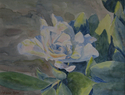 Gardenia (thumbnail)