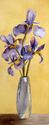 Siberian%20Iris (thumbnail)