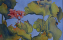 Red%20Geranium (thumbnail)