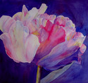 Springtime%21 (thumbnail)