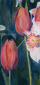 Tulips%20and%20Daffodils (thumbnail)