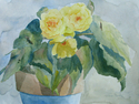 Yellow%20Begonia (thumbnail)