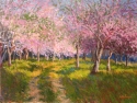 Keith Burgess - Orchard Light