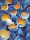 Painting--Watercolor-SymbolismAll Cracked Up 5