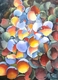 Painting--Watercolor-BotanicalAll Cracked Up XXIV