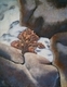 Painting--Oil-SeascapeExposed