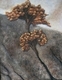 Painting--Oil-FigurativeNeap Tide