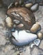 Painting--Oil-ConceptualOrganic Inorganic
