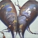 Painting--Oil-BotanicalMussel 4