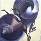 Painting--Oil-BotanicalPeriwinkle 2