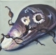 Painting--Oil-BotanicalMussel 6