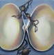 Painting--Oil-AnimalsClam 2