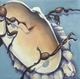 Painting--Oil-AnimalsBarnacle 2