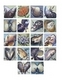 Painting--Oil-AnimalsClark Island Intertidal Miniatures