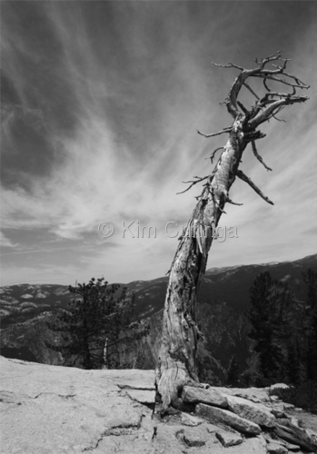 YOSEMITE