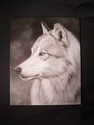 Wolf (thumbnail)