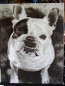 Mabel (thumbnail)