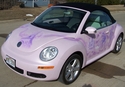 French%20Beetle (thumbnail)