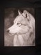 Painting--Acrylic-WildlifeWolf