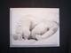 Painting--Acrylic-WildlifePolar Bear, Cozy In the Cold