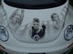 Painting-Beetle Hood