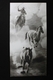 Painting--AcrylicKickin Up Dust
