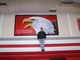 Painting--Acrylic-AnimalsWHHS Eagle