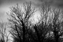 Keith,Johnson,photography,abstract,fine,art,digital,creative,scenic,outdoors,night,time,lights,trailers,rays,buildings,city,views,streets,lamp,posts,trees,sky,skies,signs,structures,architecture,highways,interstate,Dallas,Texas,downtown,people,doors,doorways,clouds,overpass,cars,trucks,vehicles,parking,lots,ghosting,shots,distant,moon,lunar,full, -  Photography