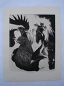 K. Kraft - The Coop