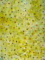 Painting--Acrylic-AbstractMore Than meets the Eye